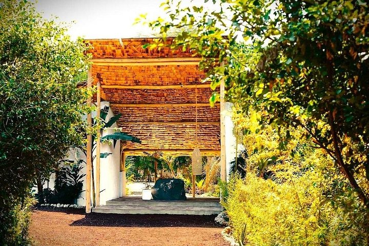 2-Day Private Luxury Safari: Tarangire & Ngorongoro Tanzania