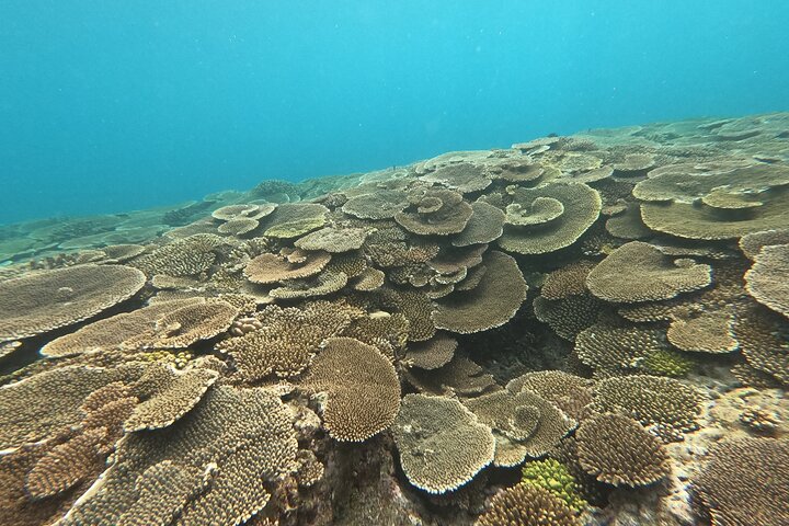 Okinawa Private Adventure Day: Beaches, Snorkeling & Waterfalls