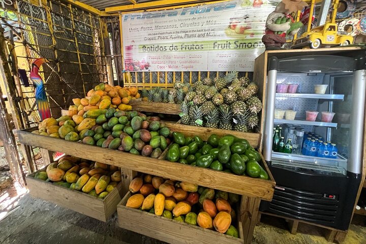 El Yunque Rainforest Waterslides and Luquillo Beach w/ Transport