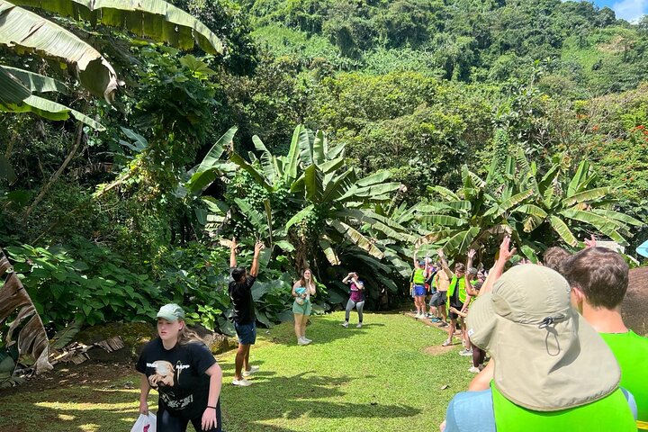 El Yunque Rainforest Waterslides and Luquillo Beach w/ Transport
