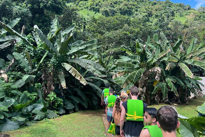 El Yunque Rainforest Waterslides and Luquillo Beach w/ Transport