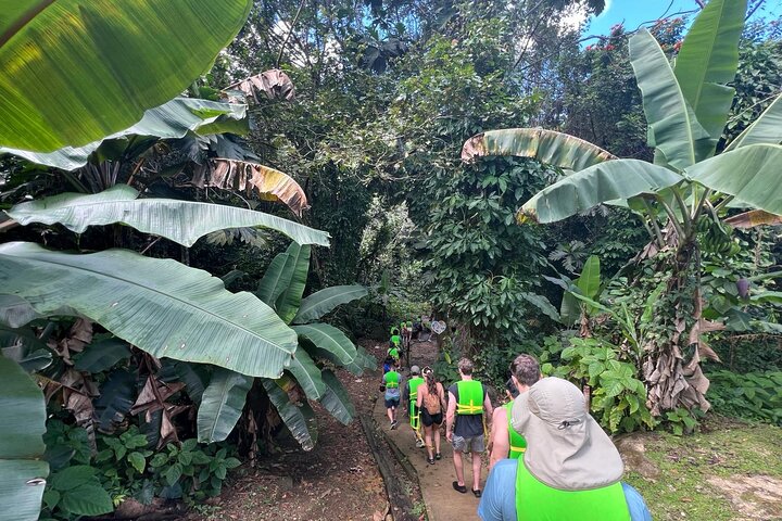 El Yunque Rainforest Waterslides and Luquillo Beach w/ Transport