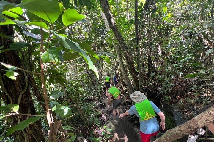 El Yunque Rainforest Waterslides and Luquillo Beach w/ Transport