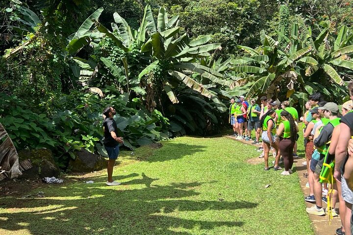 El Yunque Rainforest Waterslides and Luquillo Beach w/ Transport