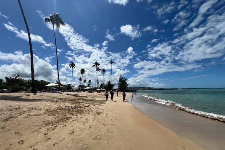 El Yunque Rainforest Waterslides and Luquillo Beach w/ Transport