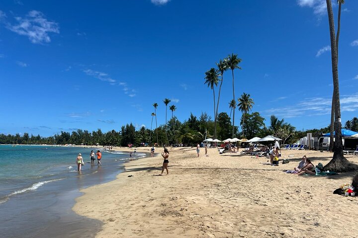 El Yunque Rainforest Waterslides and Luquillo Beach w/ Transport
