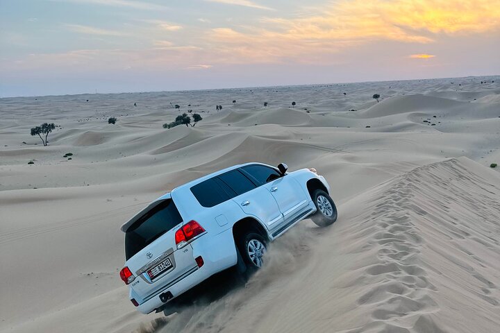 Abu Dhabi Layover Tour with Airport Pickup