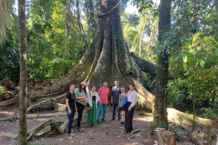Tambopata. Sandoval lake and parrot clay lick, 3 days 2 nights