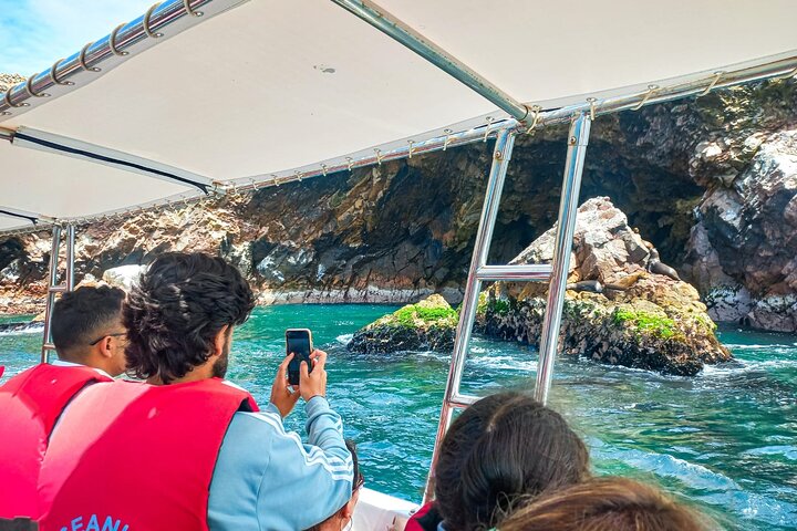 Ballestas Islands excursion from Paracas
