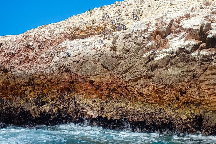 Ballestas Islands excursion from Paracas