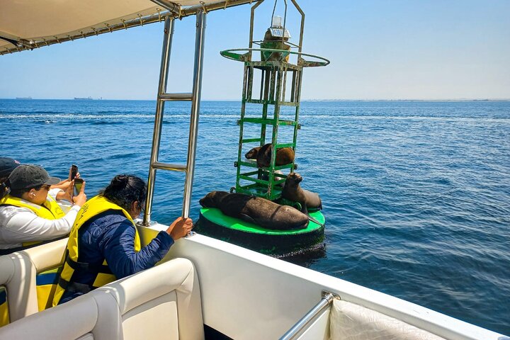 Ballestas Islands excursion from Paracas