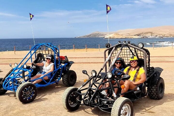 Tour the Paracas National Reserve in a MiniBuggy