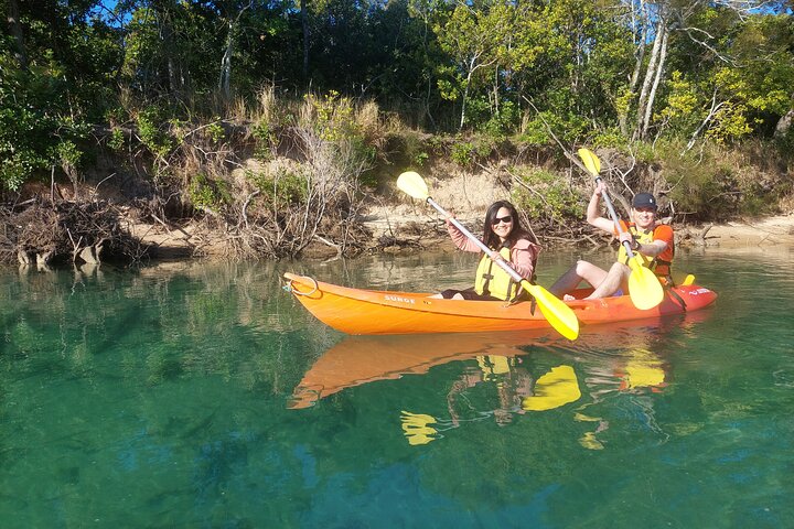 Daytime Kayak Eco Tour of New South Wales