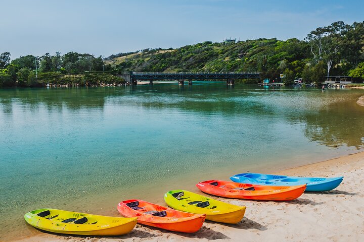 Daytime Kayak Eco Tour of New South Wales