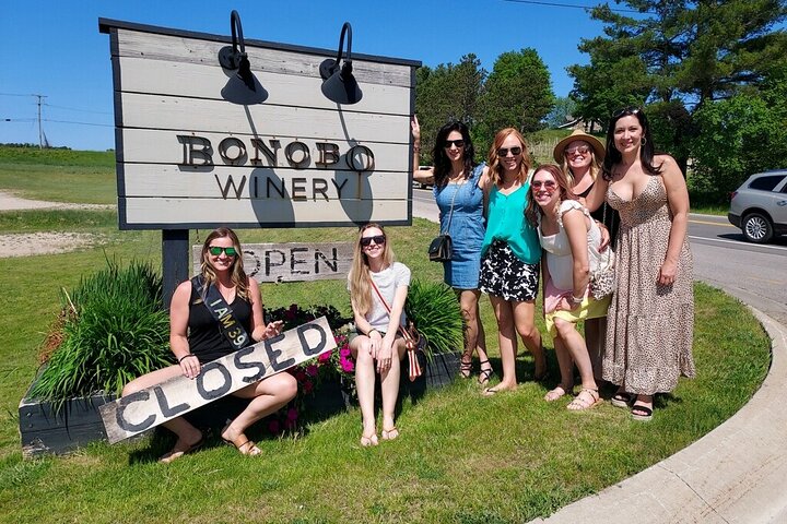 NON-BUS 4 Winery Traverse Wine Tour on Old Mission - ICE COLD AC