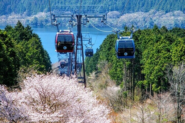 Mt Fuji and Hakone 1-Day Bus Tour Return by Bullet Train