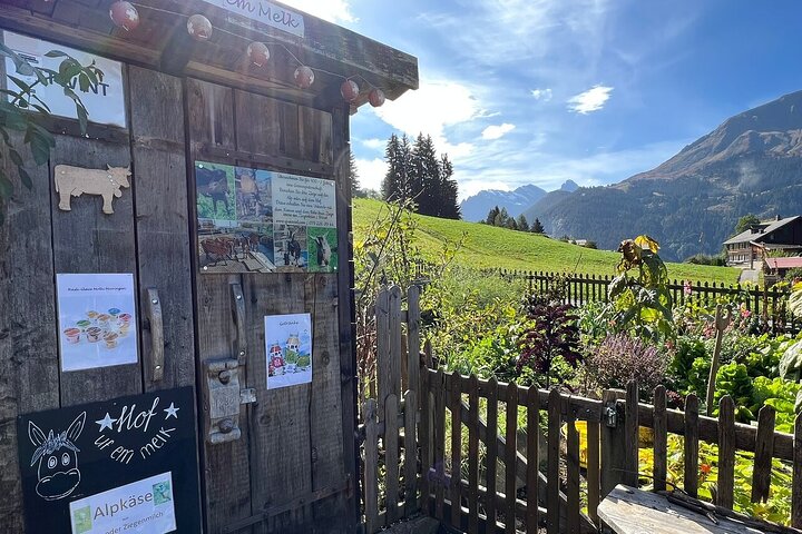 Easy countryside tour in Swiss Alps - kids friendly