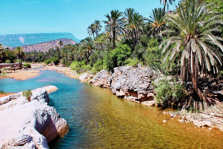 Private Guided Tour to the Paradise Valley and Taghazout village