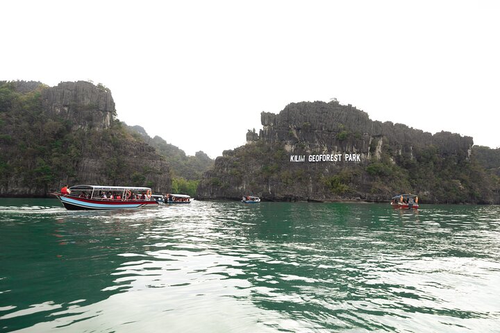 3 Hours Mangrove Boat Tour in Langkawi
