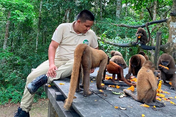 Monkey Island, Amazon River, Amazonian Sunset