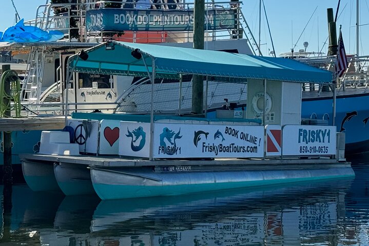 Pensacola Beach Dolphin Cruise + Beach Stop + Reef Snorkeling