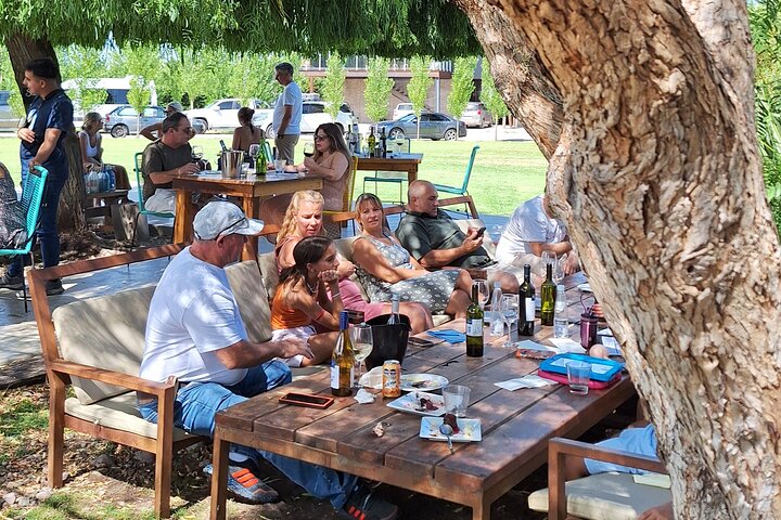 Uco Valley Wineries Day with Private Driver