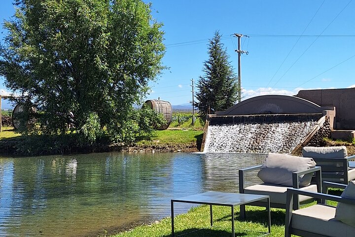 Uco Valley Wineries Day with Private Driver