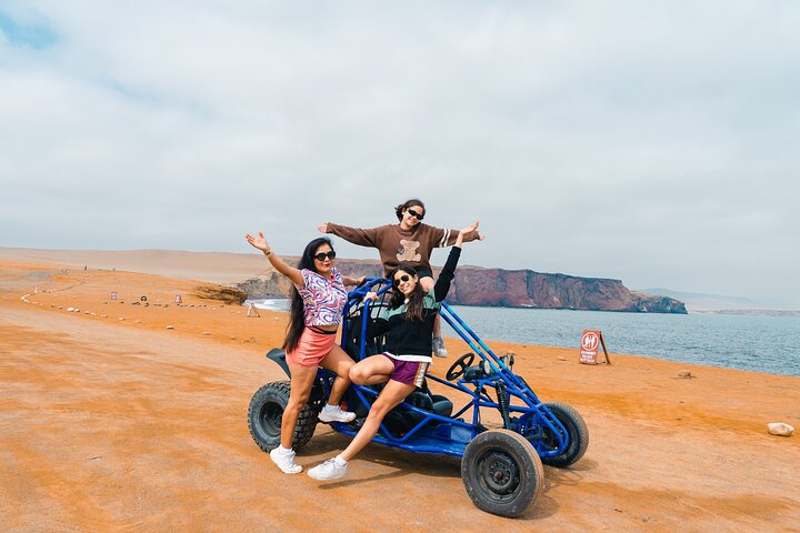 Tour the Paracas National Reserve in a MiniBuggy
