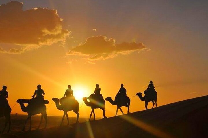 Agafay Desert: Dinner Show with Quad Bike and Sunset Camel Ride
