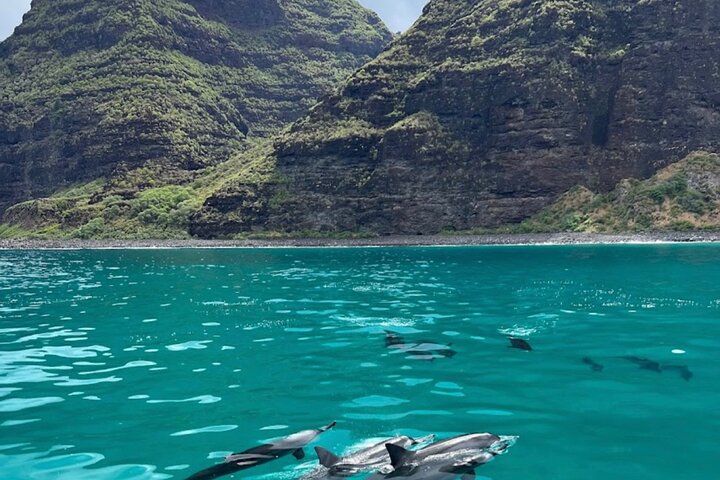 Kauai: Nā Pali Coast Zodiac Raft Expedition and Snorkeling
