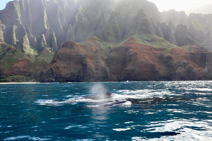 Kauai: Nā Pali Coast Zodiac Raft Expedition and Snorkeling
