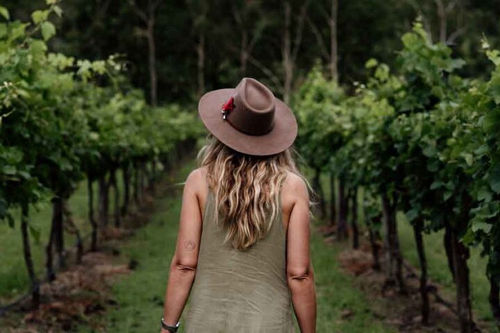 Mount Tamborine Winery Tour with Lunch from Brisbane