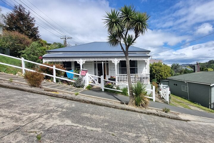 Dunedin City and Coastal Views 3-Hour Small-Group Guided Tour
