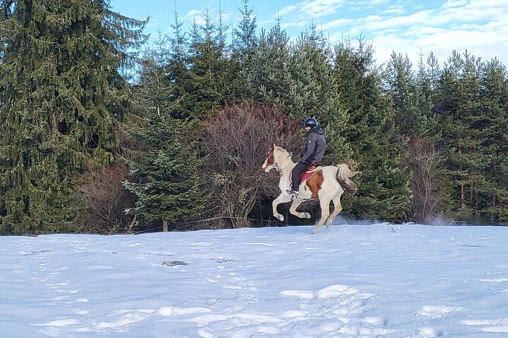 Horse riding experience from Borovets