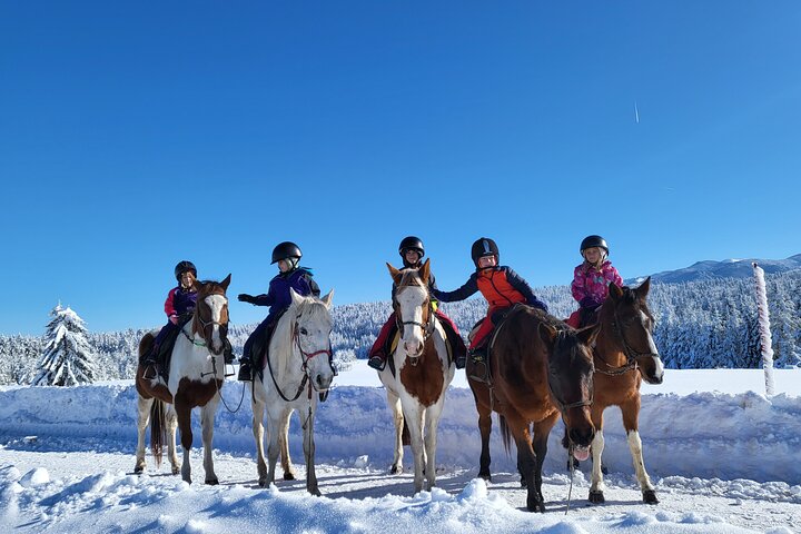 Horse riding experience from Borovets