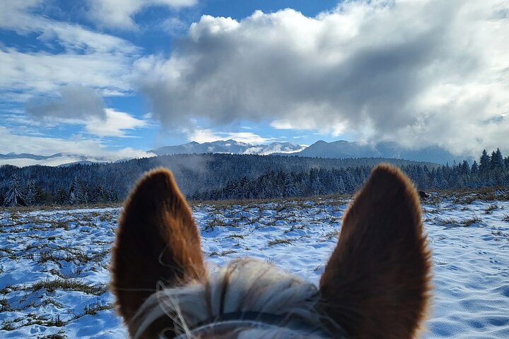 Horse riding experience from Borovets