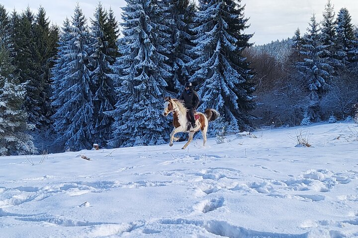 Horse riding experience from Borovets