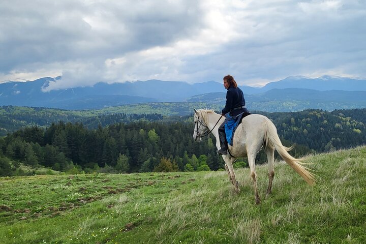 Horse riding experience from Borovets