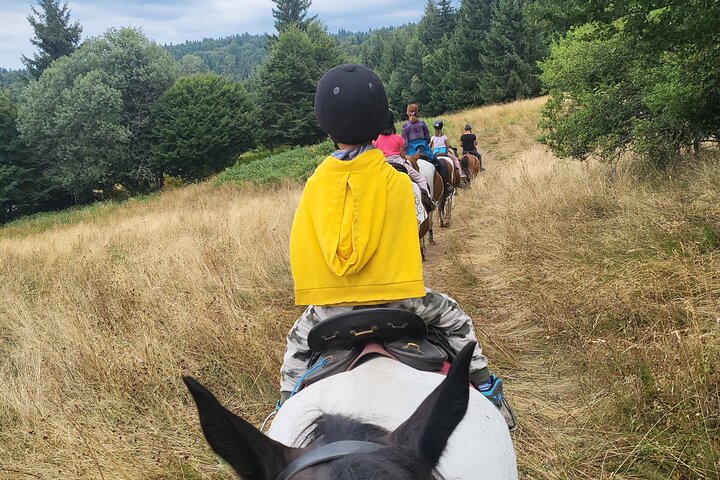 Horse riding experience from Borovets