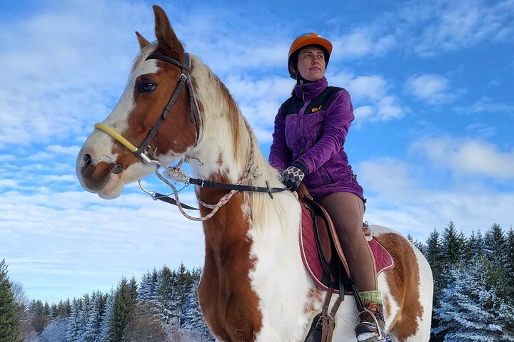 Horse riding experience from Borovets