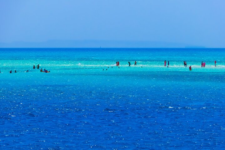 Ras Mohammed & White Island: Snorkel, Optional Dive & Lunch