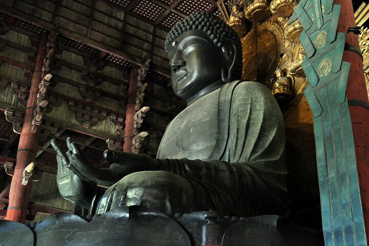 Nara Private Tour: Flexible Pickup from Kyoto, Osaka, or Nara
