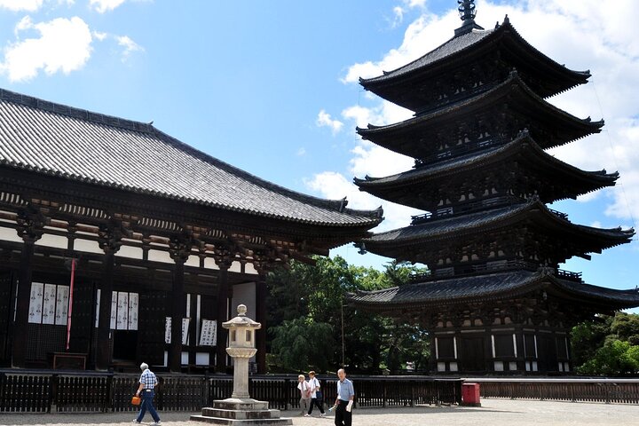 Nara Private Tour: Flexible Pickup from Kyoto, Osaka, or Nara