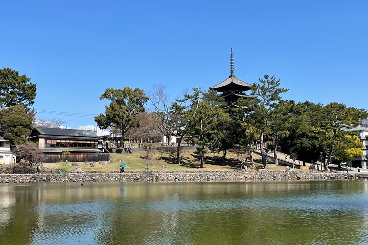 Nara Private Tour: Flexible Pickup from Kyoto, Osaka, or Nara