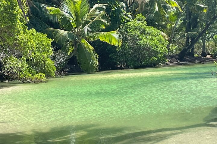 5 Hour Private Customize Tour of Mahe, Seychelles