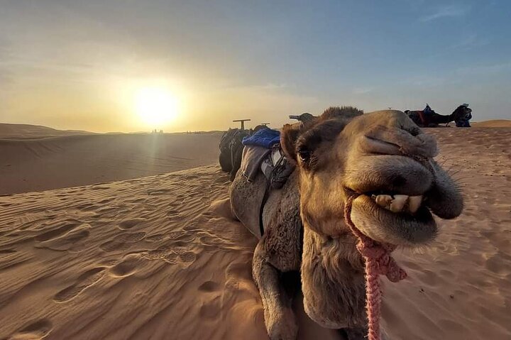 Explore Tangier: Cape Espartel, caves and camel ride.