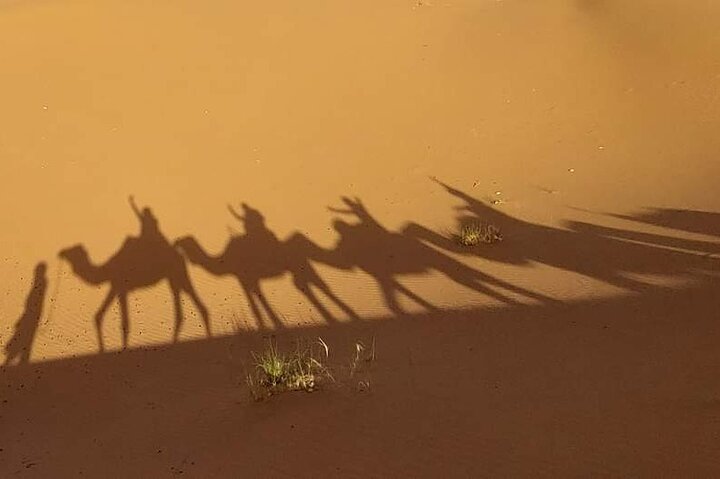 Explore Tangier: Cape Espartel, caves and camel ride.