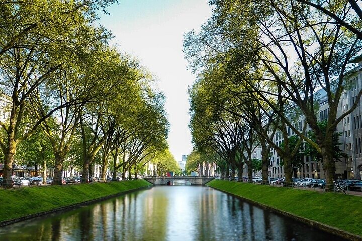 Dusseldorf Highlights Walking tour with A Guide