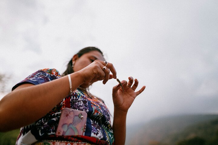 Private Guided Artisanal Fishing Tour on Lake Atitlan