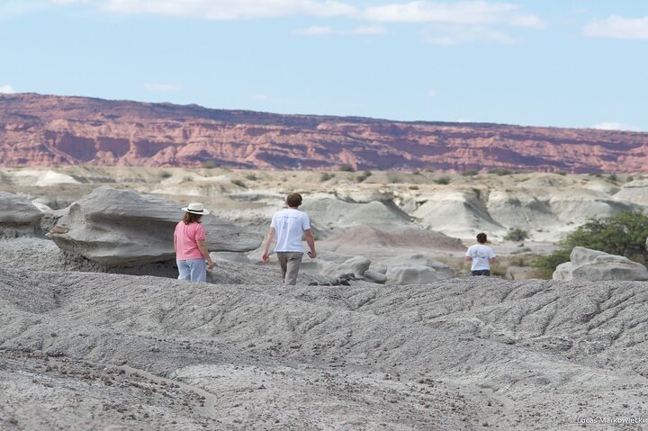 Discovering Talampaya and Valley of the Moon from La Rioja